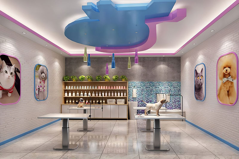 宠物店装修,杭州宠物店装修,宠物店装修设计