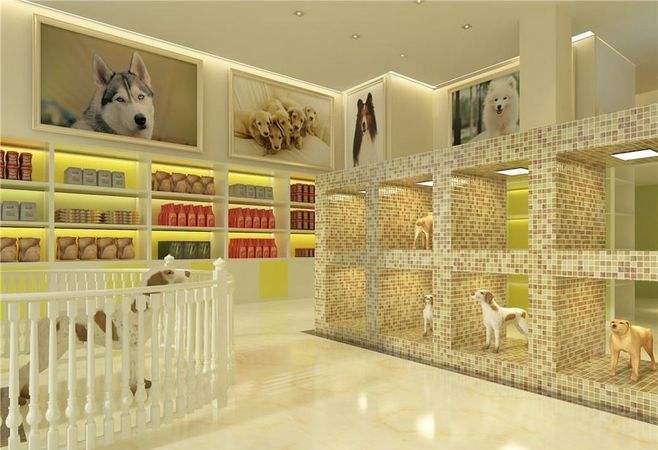 杭州宠物店装修,宠物们都喜欢的宠物店装修图,杭州宠物店装修